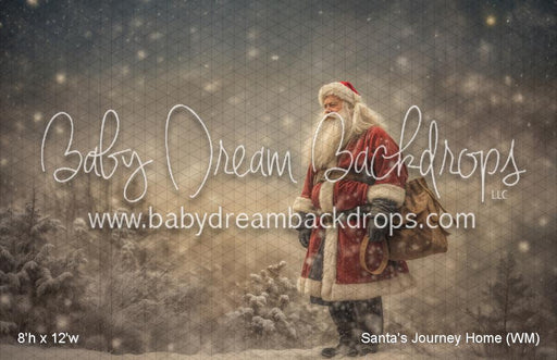 Santa's Journey Home (WM)