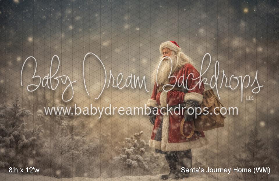 Santa's Journey Home (WM)