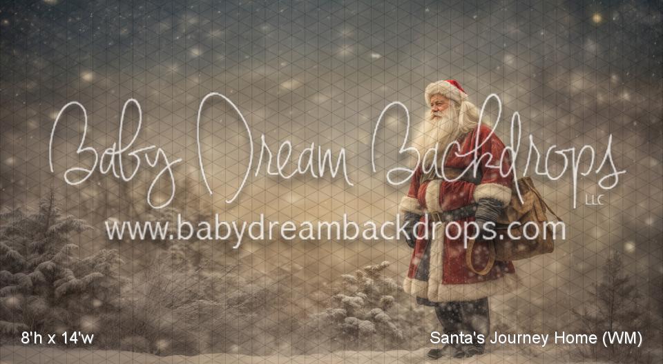 Santa's Journey Home (WM)