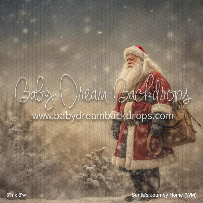 Santa's Journey Home (WM)
