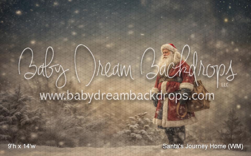 Santa's Journey Home (WM)