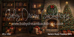 Santa's Study Fireplace (MD)