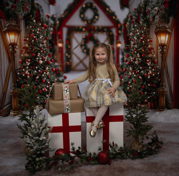 Santa Village Barn Alley (JA)