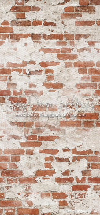 Scattered Brick Skinny (CC)