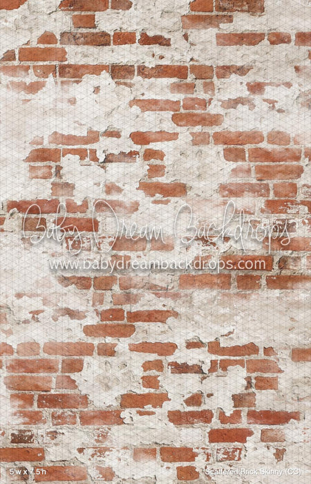 Scattered Brick Skinny (CC)