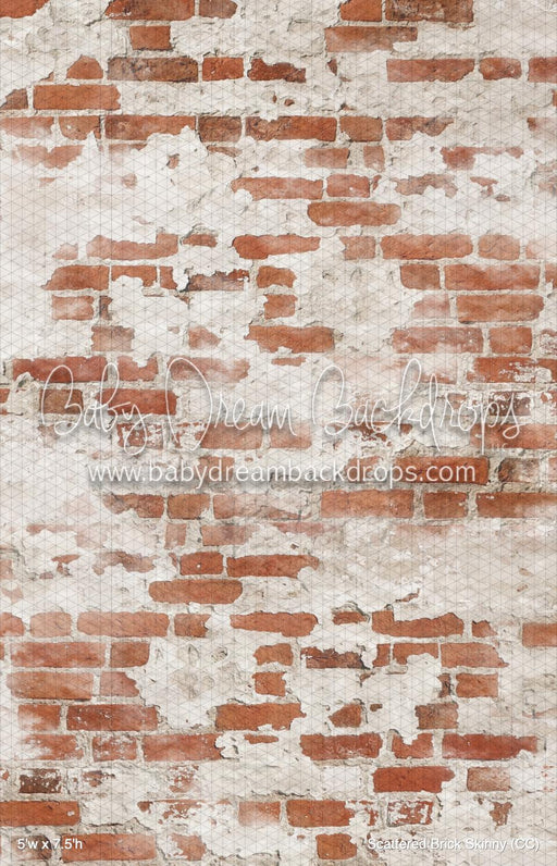 Scattered Brick Skinny (CC)