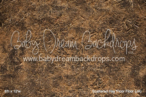 Scattered Hay Floor Floor (JA)