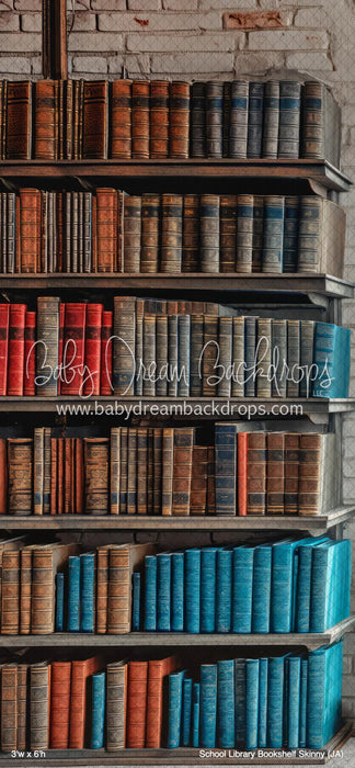 School Library Bookshelf Skinny (JA)