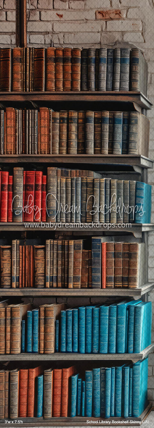 School Library Bookshelf Skinny (JA)