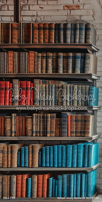 School Library Bookshelf Skinny (JA)