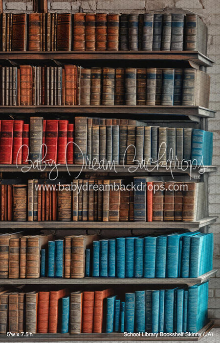 School Library Bookshelf Skinny (JA)