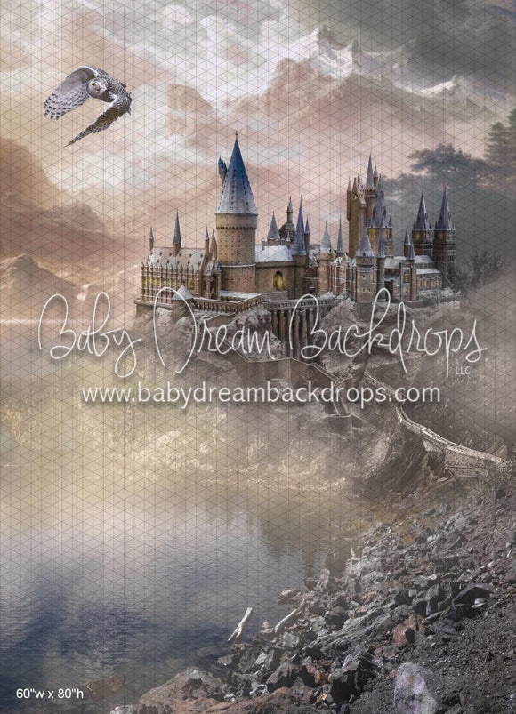 School for Witches & Wizards (WM)