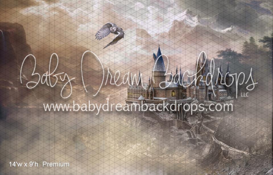 School for Witches & Wizards (WM)