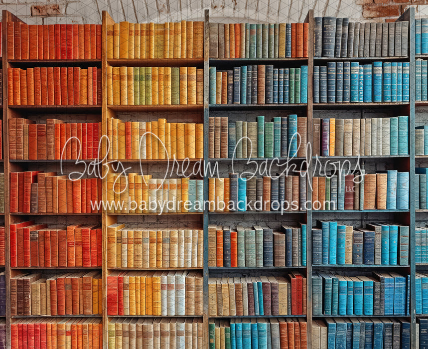 School Library Wall (JA)