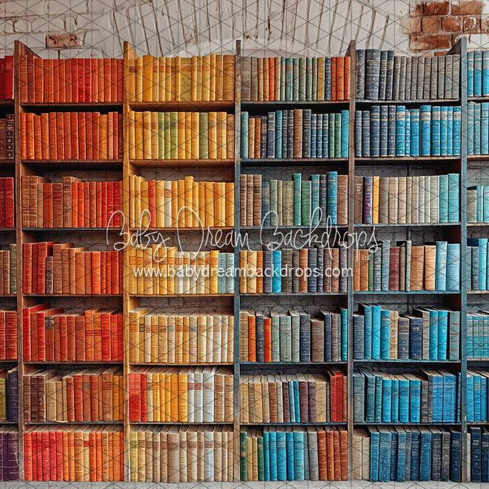 School Library Wall (JA)