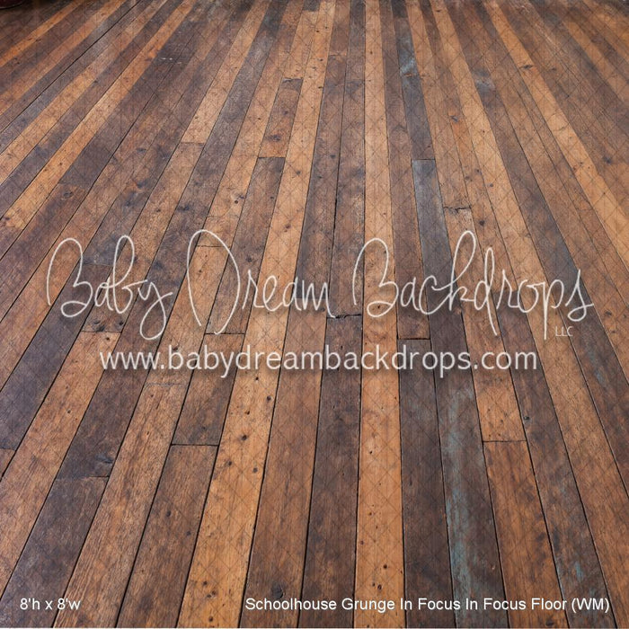 Schoolhouse Grunge In Focus In Focus Floor (WM)