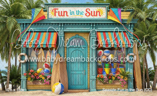 Seaside Fun in the Sun (CC)