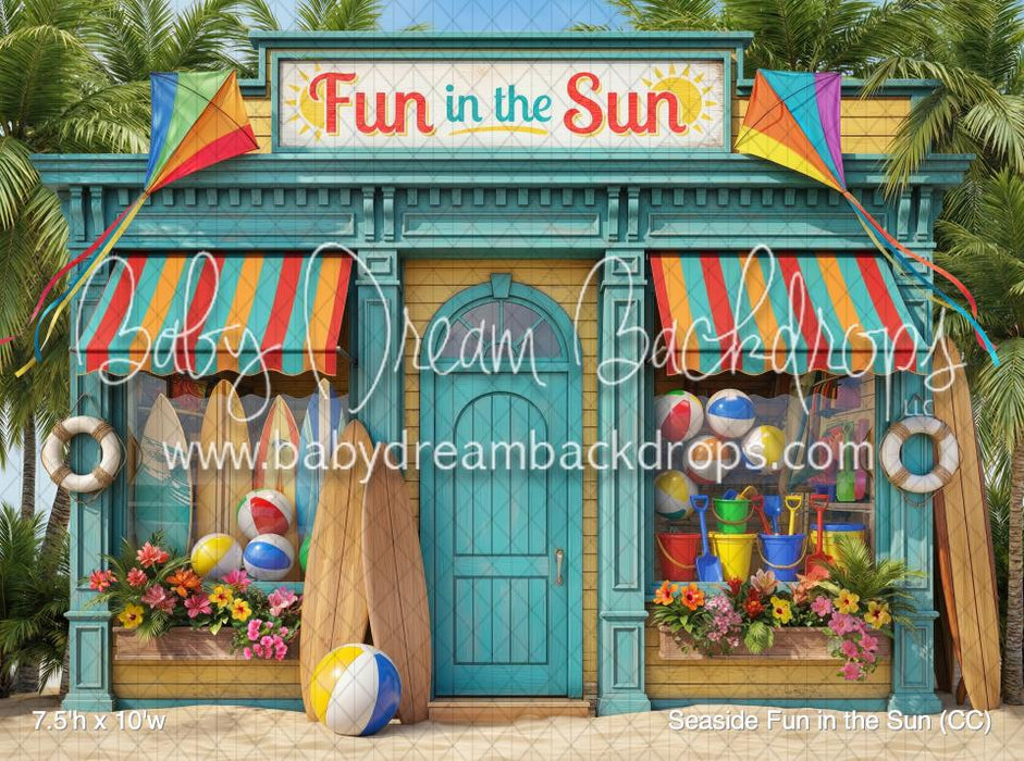 Seaside Fun in the Sun (CC)