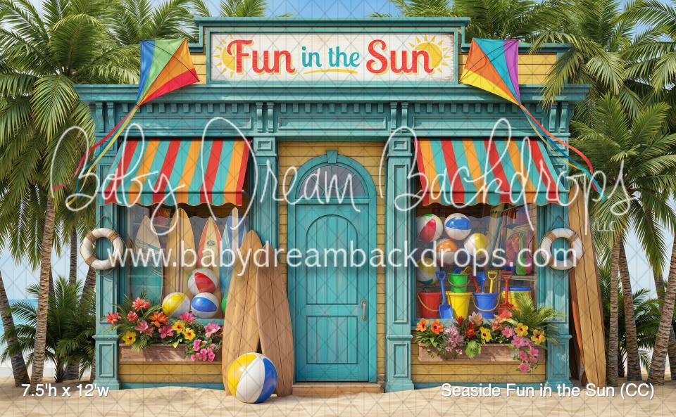 Seaside Fun in the Sun (CC)
