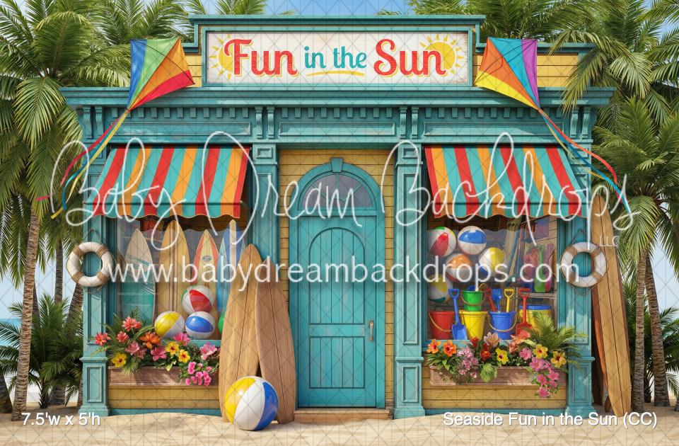 Seaside Fun in the Sun (CC)
