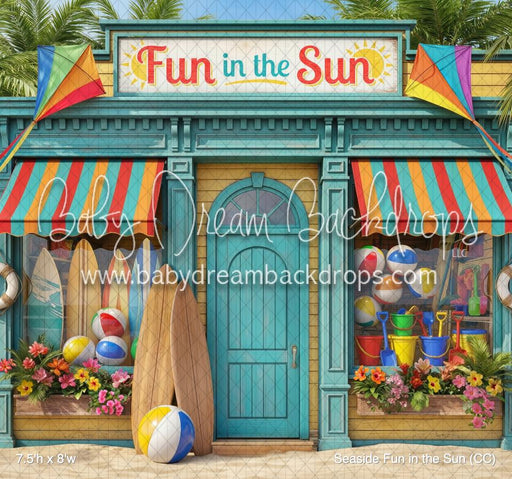 Seaside Fun in the Sun (CC)