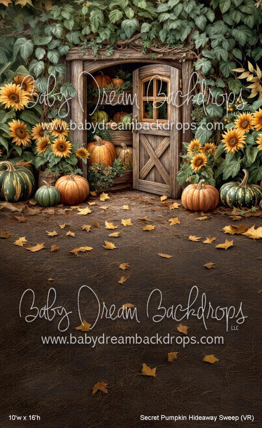 Secret Pumpkin Hideaway Sweep (VR)