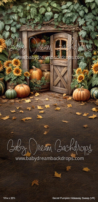 Secret Pumpkin Hideaway Sweep (VR)