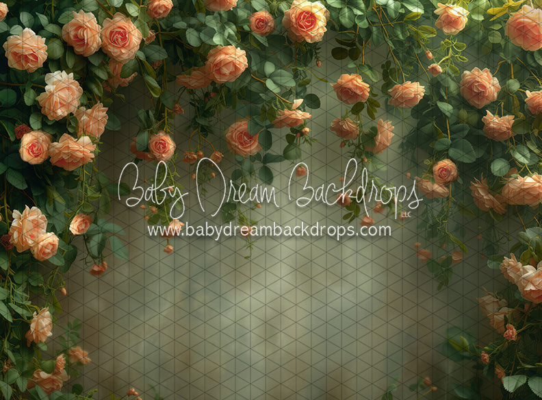 Secret Garden Texture (JA)