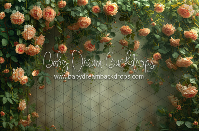 Secret Garden Texture (JA)