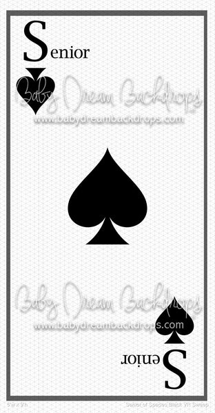 Senior of Spades Black VR Sweep (VR)