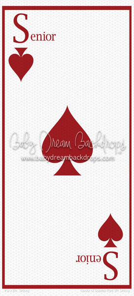 Senior of Spades Red VR Skinny (VR)