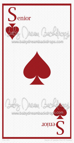 Senior of Spades Red VR Sweep (VR)