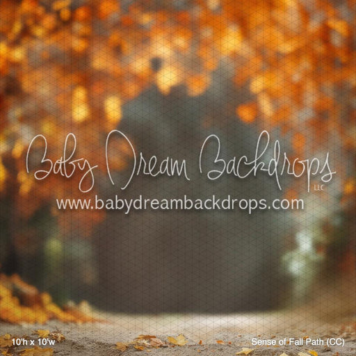 Sense of Fall Path (CC)