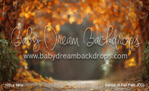 Sense of Fall Path (CC)