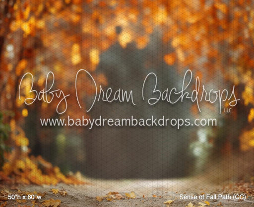 Sense of Fall Path (CC)