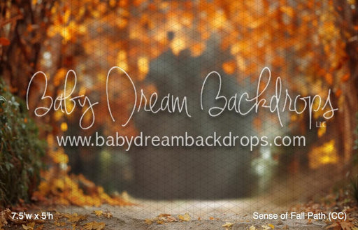 Sense of Fall Path (CC)