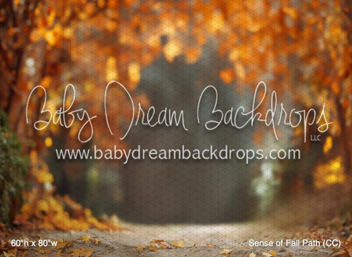 Sense of Fall Path (CC)