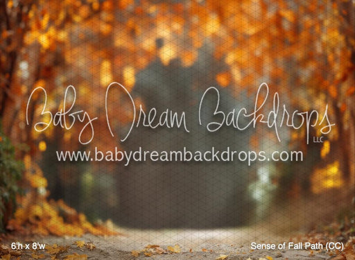 Sense of Fall Path (CC)