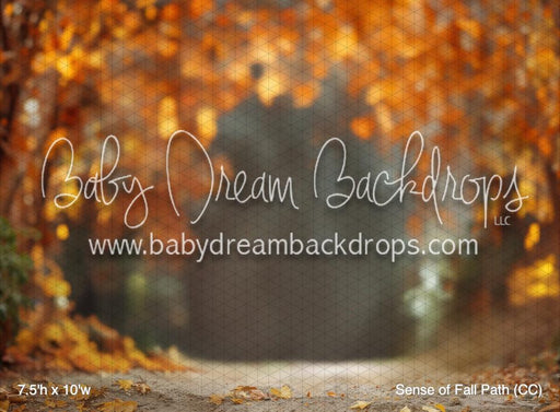 Sense of Fall Path (CC)