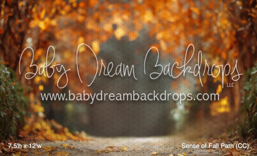 Sense of Fall Path (CC)