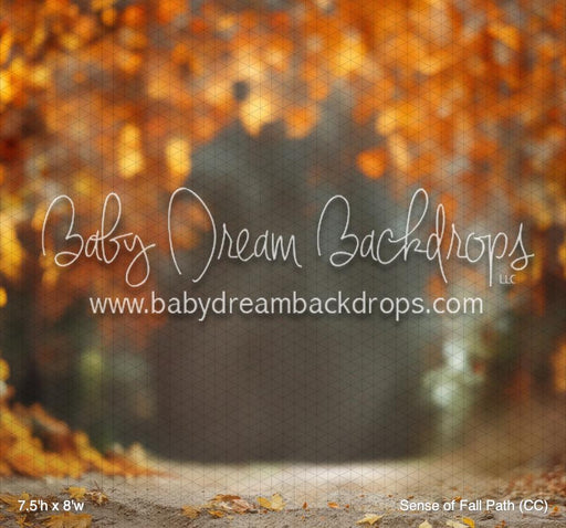 Sense of Fall Path (CC)