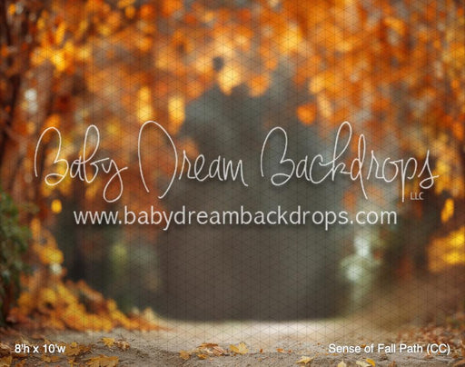 Sense of Fall Path (CC)