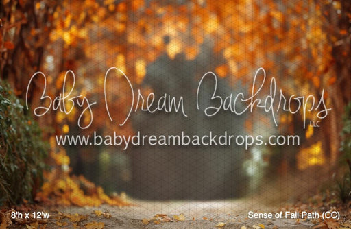 Sense of Fall Path (CC)