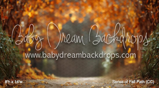 Sense of Fall Path (CC)