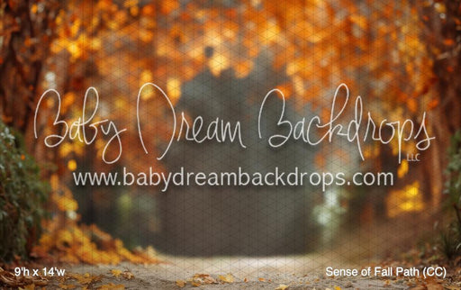 Sense of Fall Path (CC)