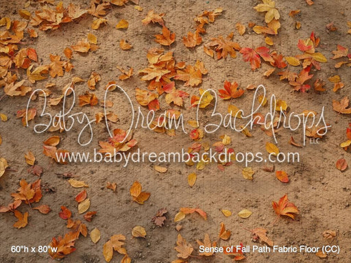 Sense of Fall Path Fabric Floor (CC)
