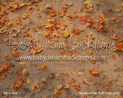 Sense of Fall Path Floor (CC)