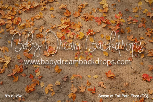 Sense of Fall Path Floor (CC)