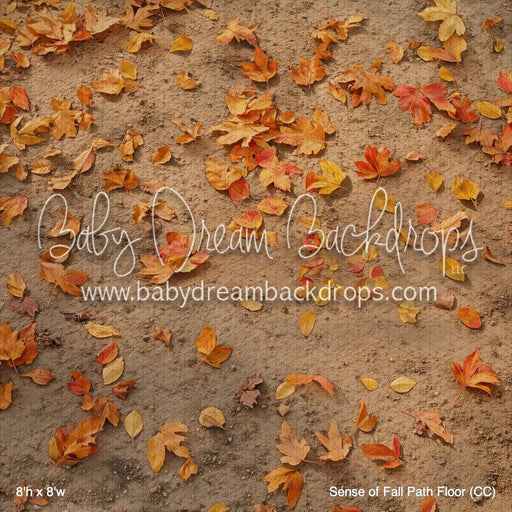 Sense of Fall Path Floor (CC)