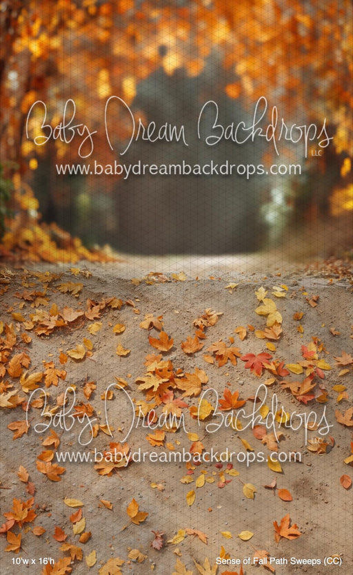 Sense of Fall Path Sweeps (CC)